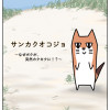 サンカクオコジョ