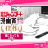 猫になっても/ジャンプ+漫画賞 2026年3-4月期