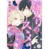 嫁入りのススメ～大正御曹司の強引な求婚～(comic donna)