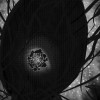 ガイアの群集