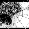 蜘蛛の巣に棲む男