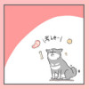 犬目線相談室