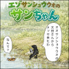 エゾサンショウウオのサンちゃん