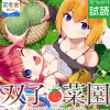 双子菜園