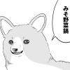 一日一回しゃべる犬