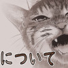 猫について