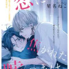 恋に焦がれた嘘つきは