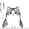 ちっちの日常