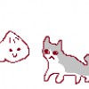 りすわただより