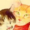 かわいいにもほどがある