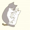 うちの猫がまた変なことしてる。
