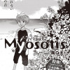 Myosotis