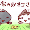 我が家のおネコさま