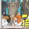 飼ってない猫