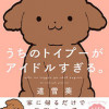 うちのトイプーがアイドルすぎる。